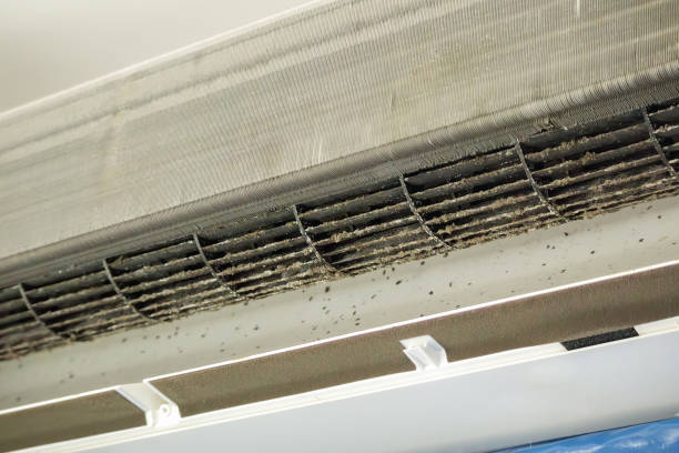 Best Affordable Air Duct Cleaning  in Rockwood, TN
