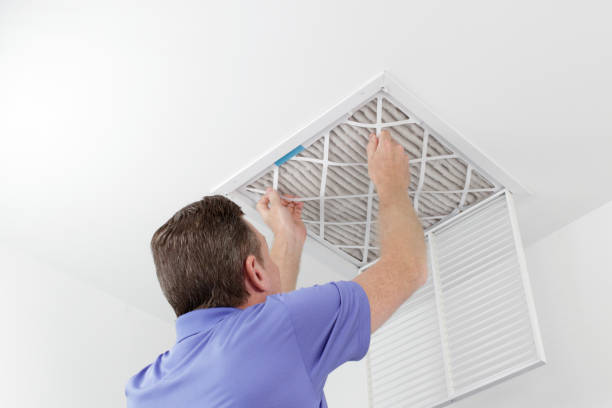 Best Professional Duct Cleaning Services  in Rockwood, TN